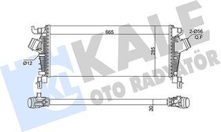Kale 375790