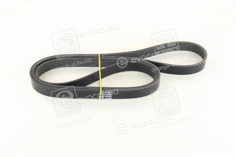 Dayco 6PK1722S