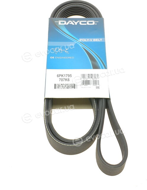 Dayco 6PK1795