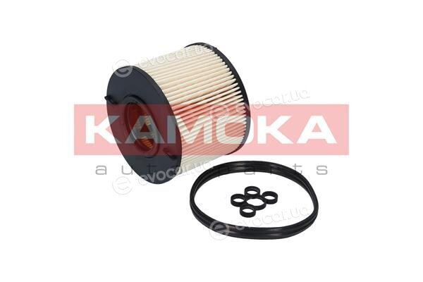 Kamoka F308101
