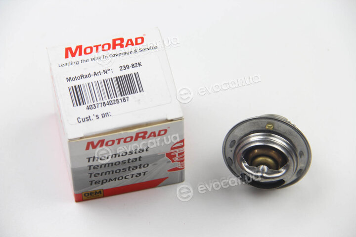 Motorad 239-82K