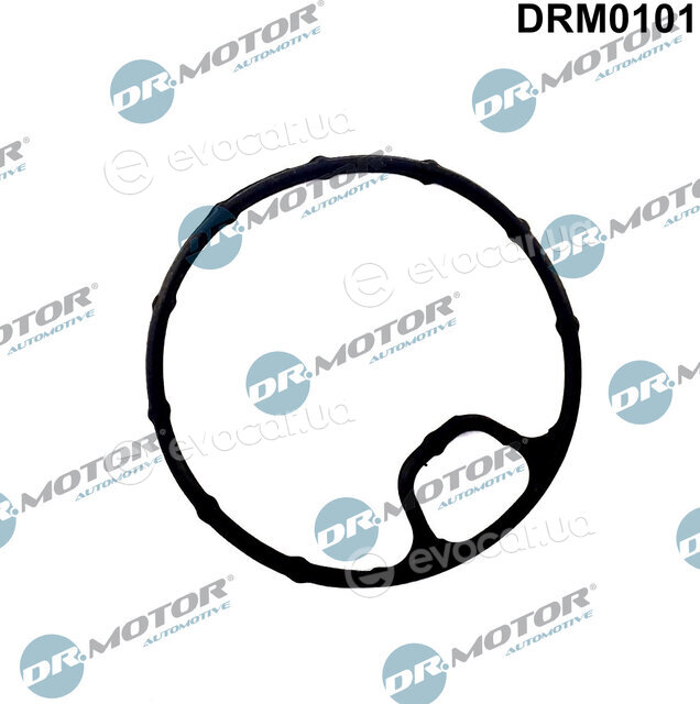 Dr. Motor DRM0101