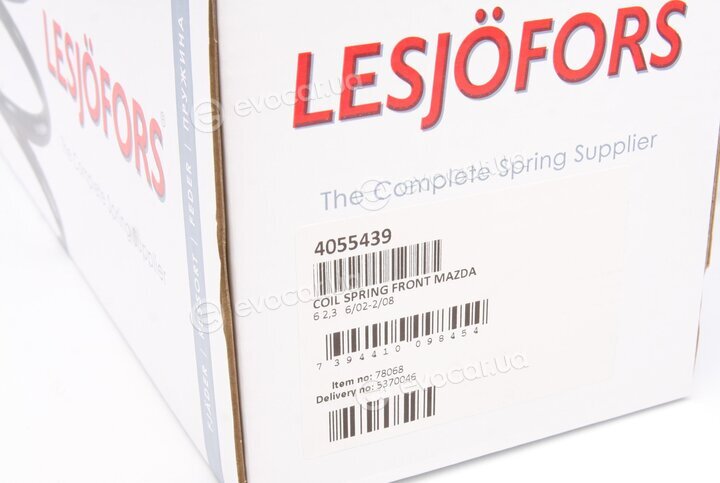 Lesjofors 4055439