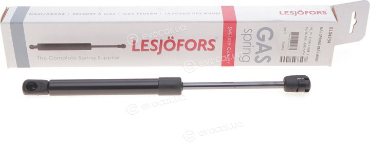 Lesjofors 8104234