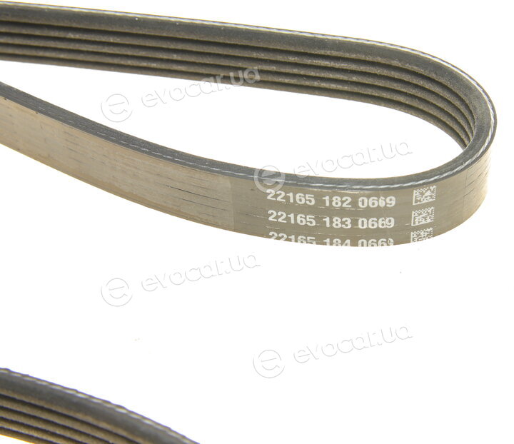 Dayco 5PK1010