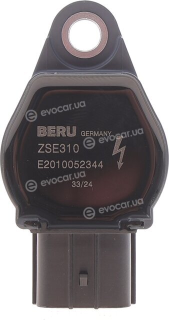 Beru ZSE310