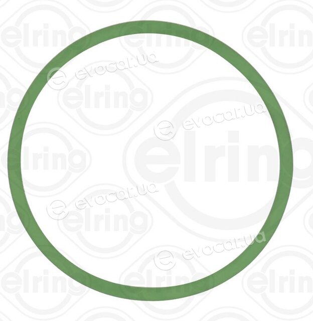 Elring 313.080