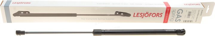 Lesjofors 8104215
