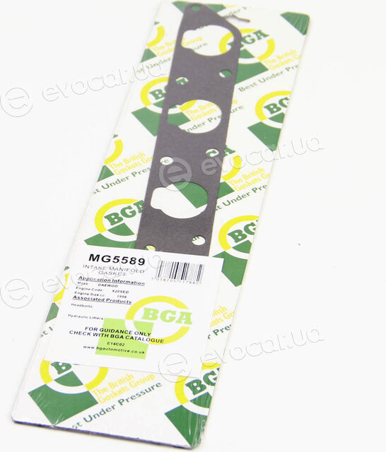 BGA MG5589