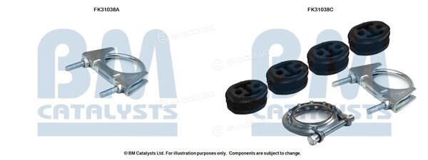 BM Catalysts FK31038