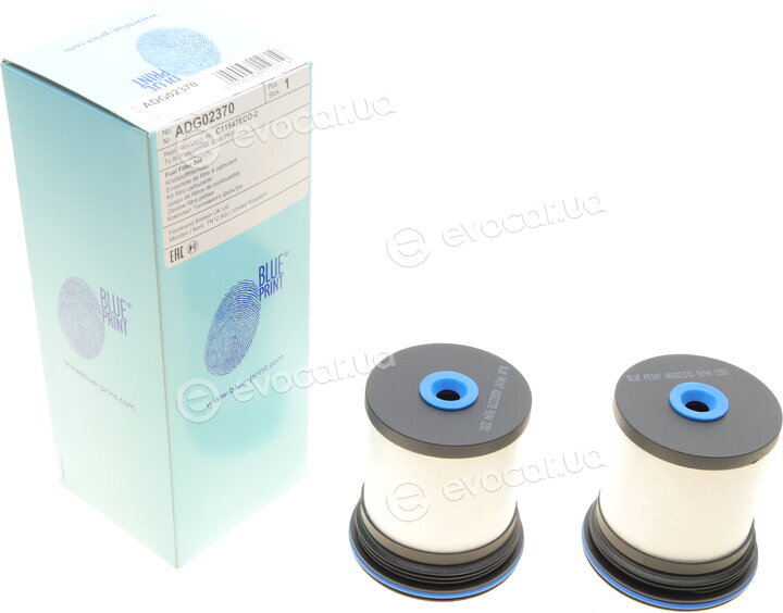 Blue Print ADG02370