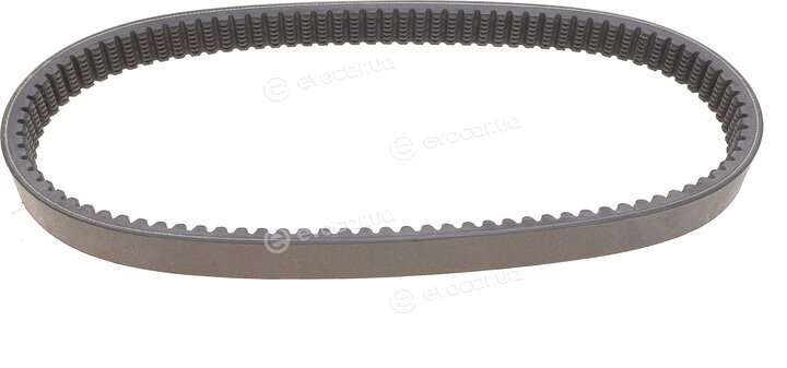 Dayco HP2004