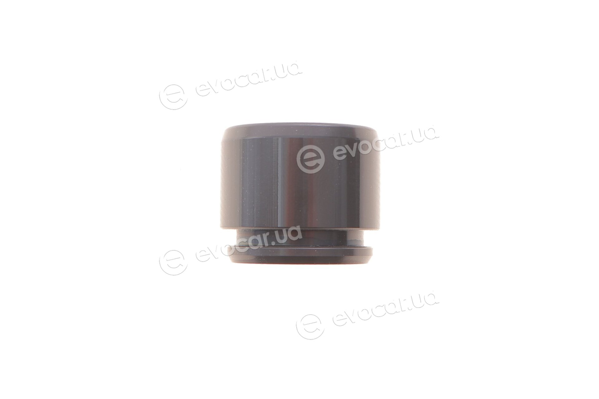 Frenkit P363004