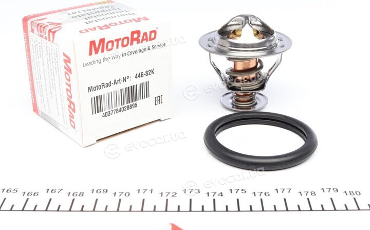 Motorad 446-82K