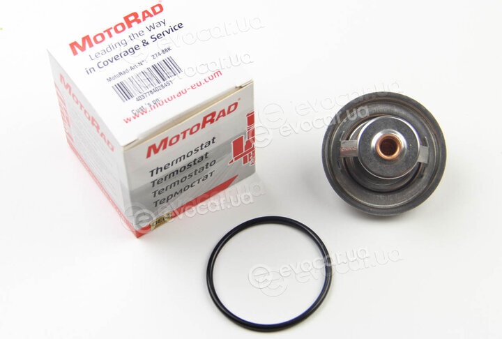 Motorad 281-82K