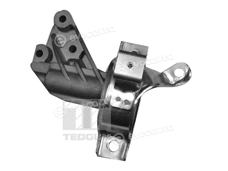 Tedgum 00219260