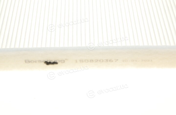 Borsehung B10541