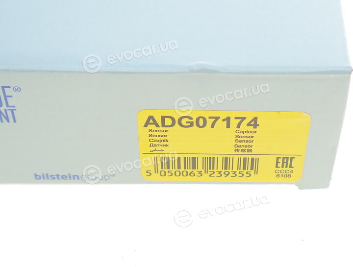 Blue Print ADG07174