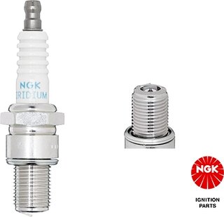 NGK / NTK R7376-10