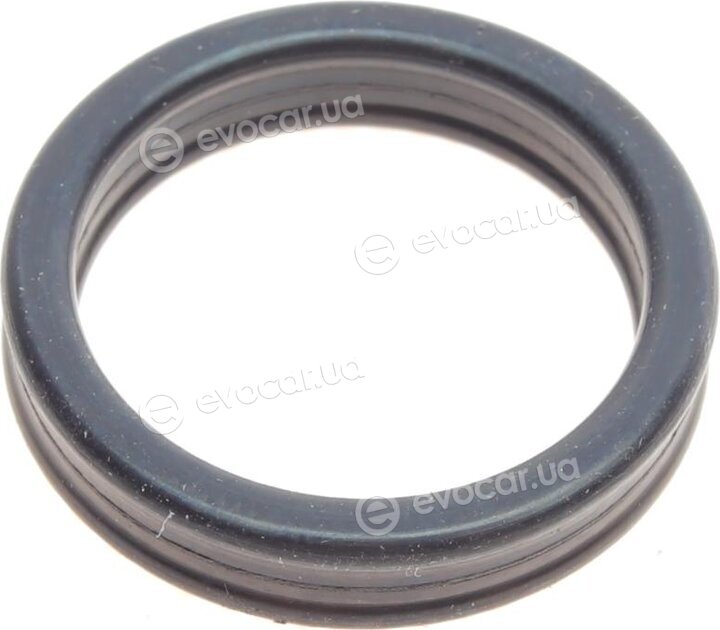 Elring 306.130