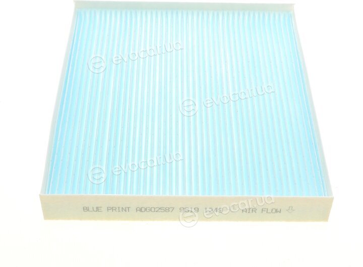 Blue Print ADG02587