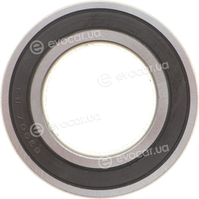 Solgy 214080
