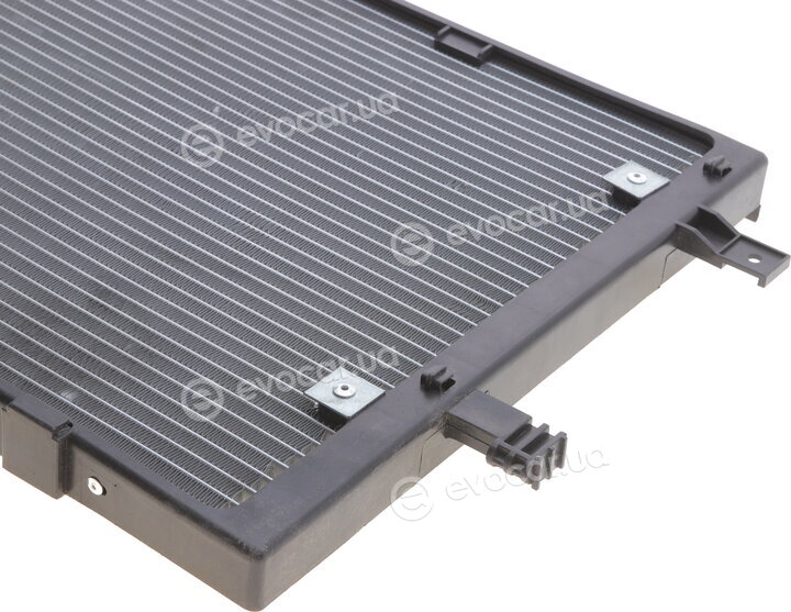 Van Wezel 37015394