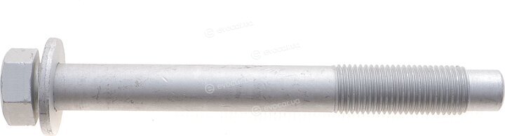 Solgy 204231