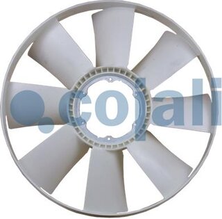 Cojali 7047122