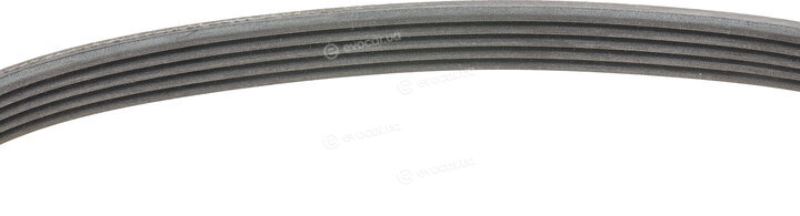 Continental 5PK690 ELAST