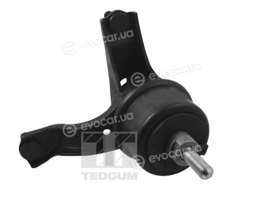 Tedgum TED94424