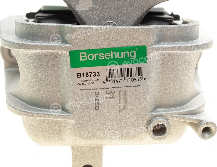 Borsehung B18733