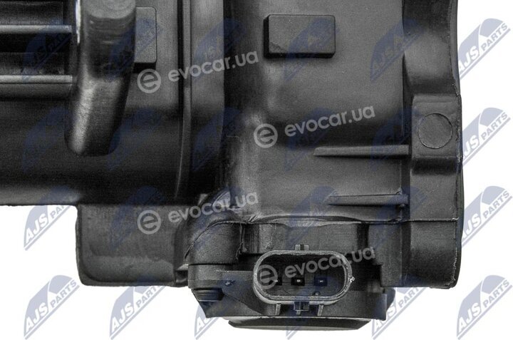 NTY BKS-VW-018