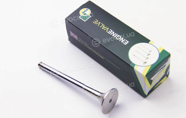BGA V017079