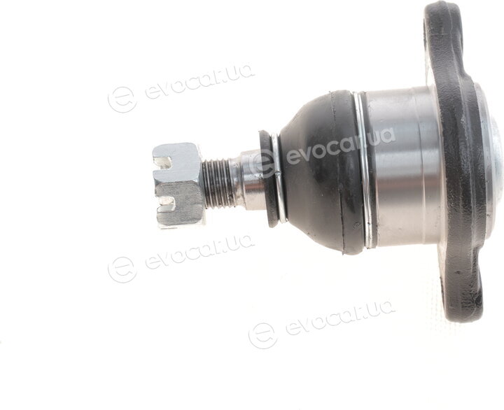 SKF VKDS 815503