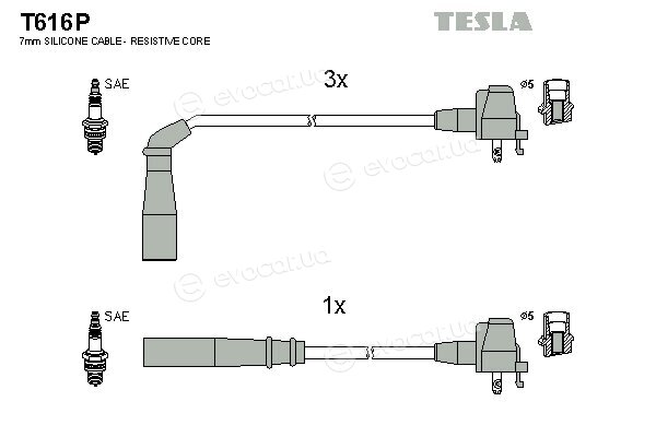 Tesla T616P