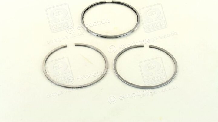 Mahle 029 55 N0