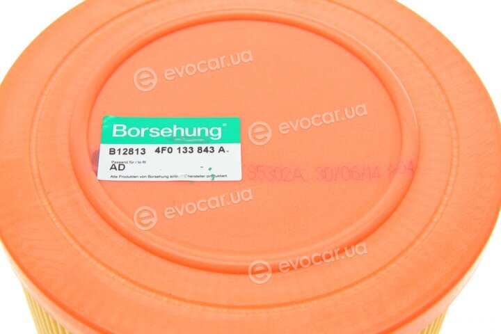 Borsehung B12813