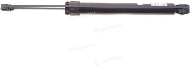 Sachs 313 365
