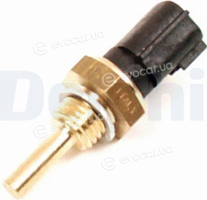 Delphi TS10064