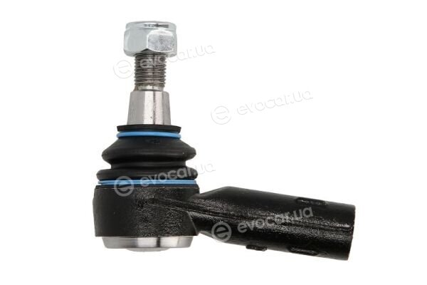 Reinhoch RH01-0033