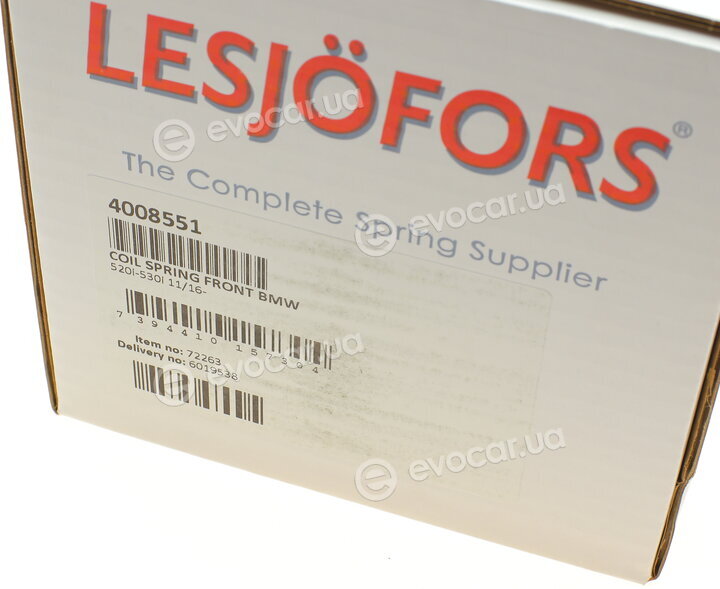 Lesjofors 4008551