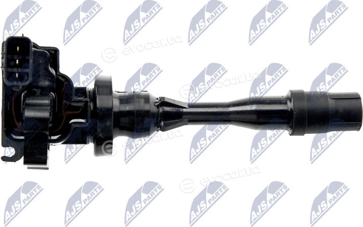 NTY ECZ-MS-023