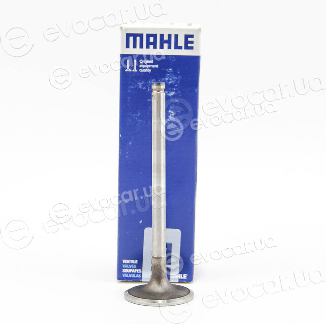 Mahle 031 VE 30319 000