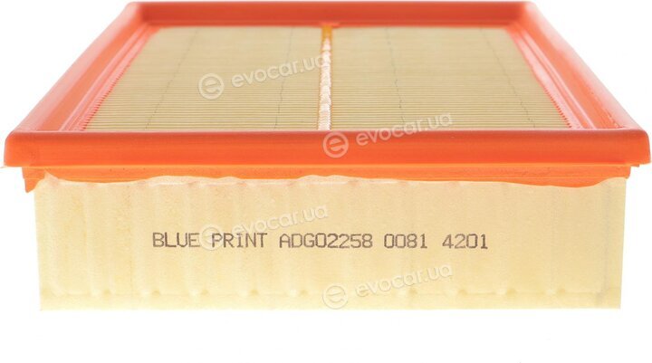 Blue Print ADG02258