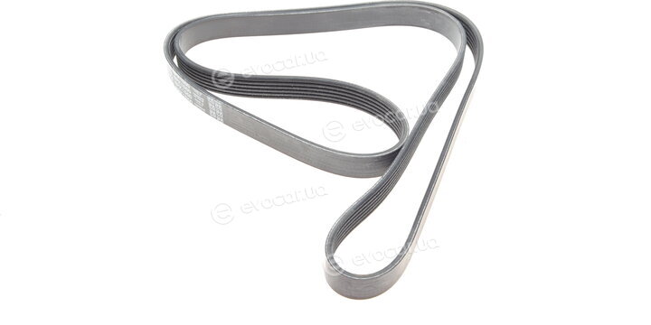 Dayco 6PK1550