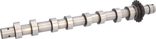 Blue Print ADBP610216