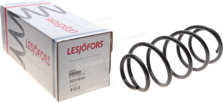 Lesjofors 4066811