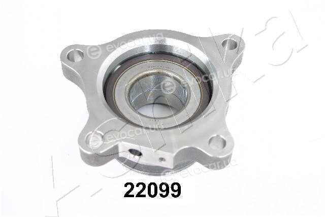 Ashika 44-22099
