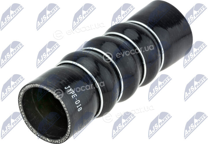 NTY GPP-PE-018
